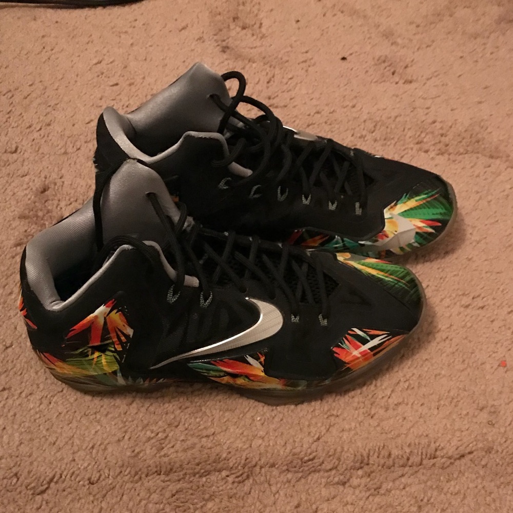 Lebron 11 Everglades
