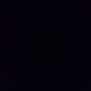 Meet your Posher, Ally