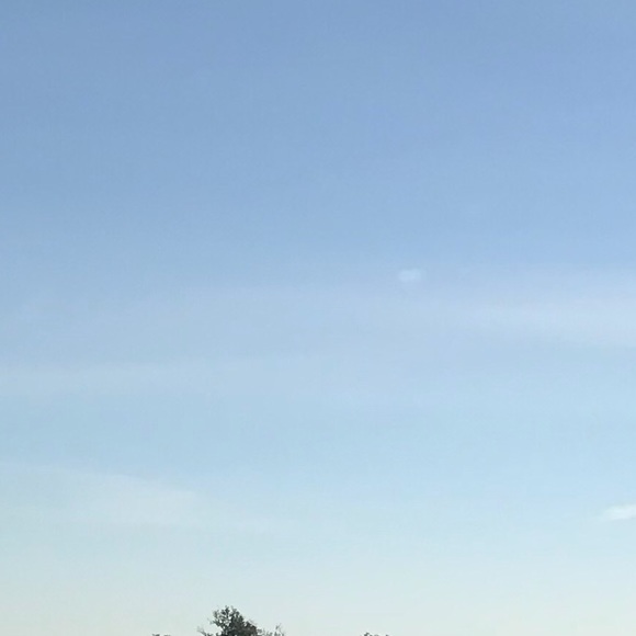 Meet your Posher, Cara - Picture 1 of 1