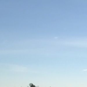 Meet your Posher, Cara