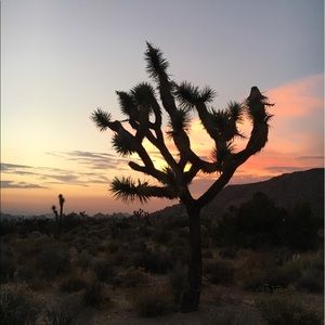 Meet your Posher, Thomas