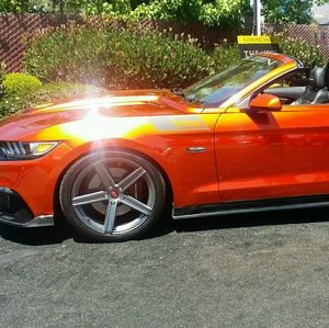 Meet your Posher, Moises