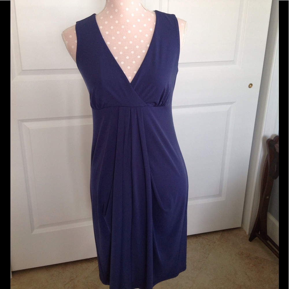 Ann Taylor dress