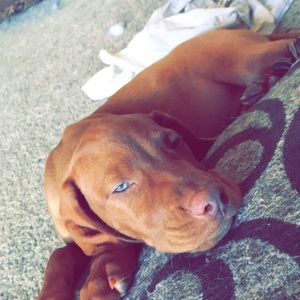 Meet your Posher, Jay