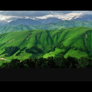 Meet your Posher, Seema