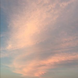 Meet your Posher, Susannah