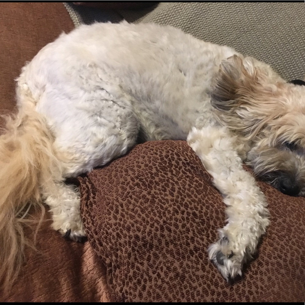 Meet your Posher, Haleigh