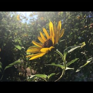 Meet your Posher, Angel