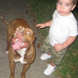 Meet your Posher, Bernard