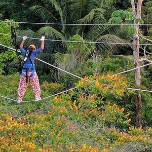 Meet your Posher, Eena