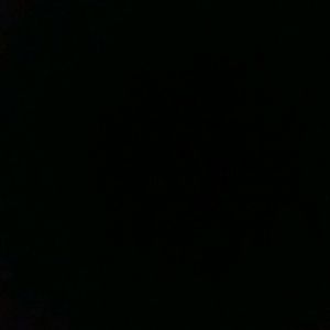 Meet your Posher, Wyatt