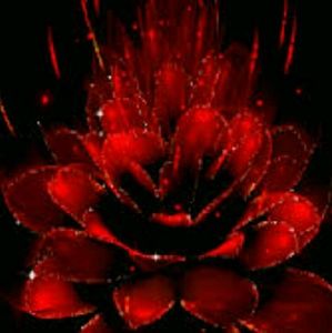 Meet your Posher, Ann