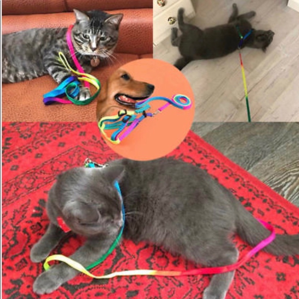 Adjustable Harness for Cat/Dogs