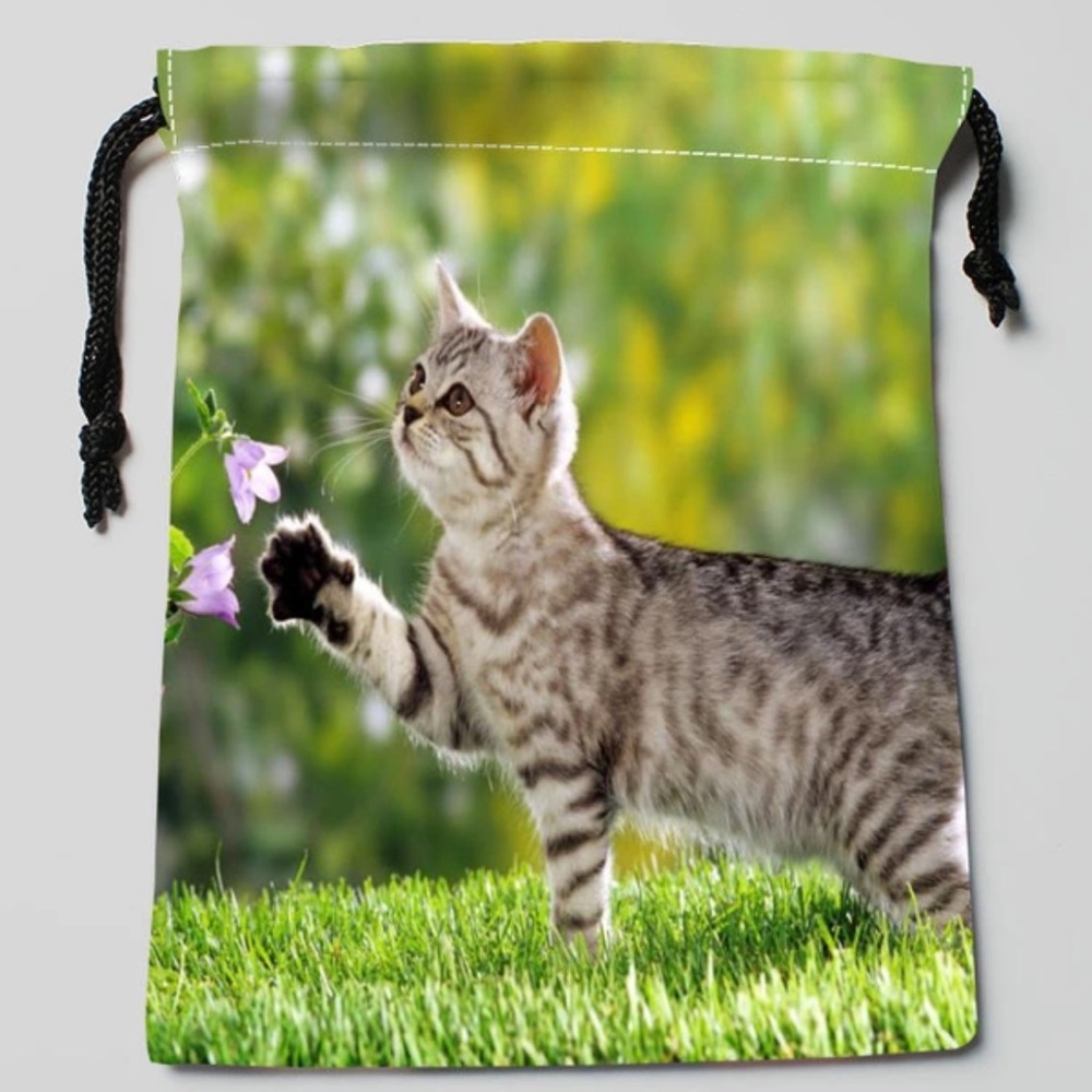 Tabby Kitty Drawstring Pouch