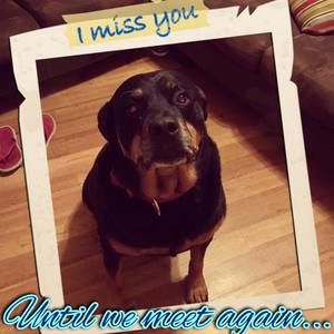 Meet your Posher, Amber