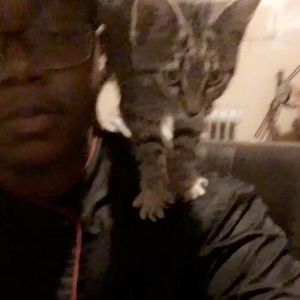 Meet your Posher, Timothy