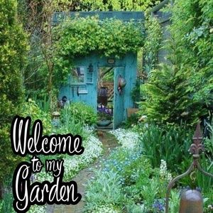 Nothing here but me and my Garden...