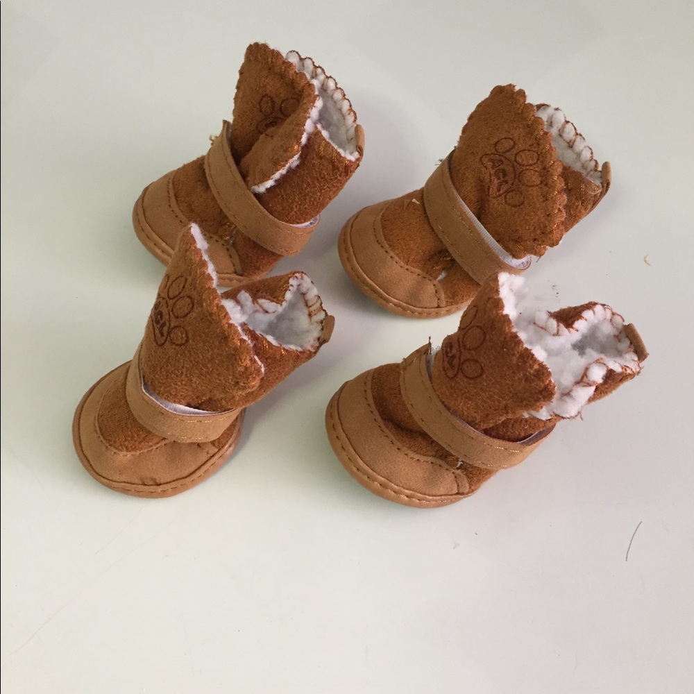 Small dog boots