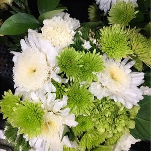 Meet your Posher, Tamara