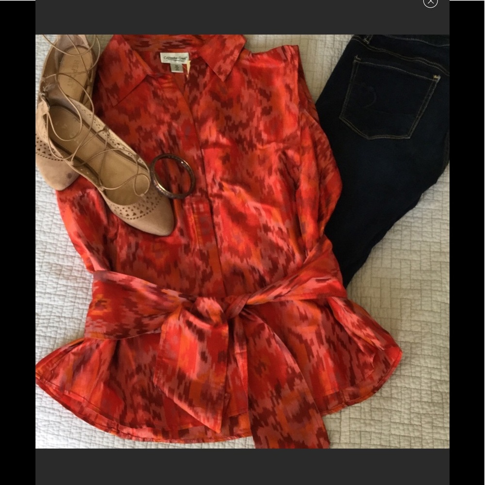 NWT Gorgeous Silk Blouse