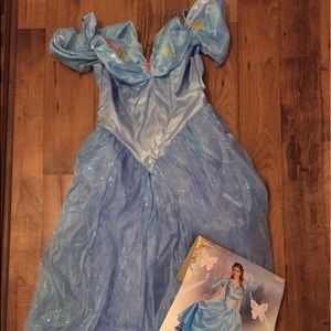 Cinderella (Elsa?) Halloween Costume!