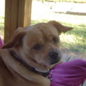 Meet your Posher, Linda