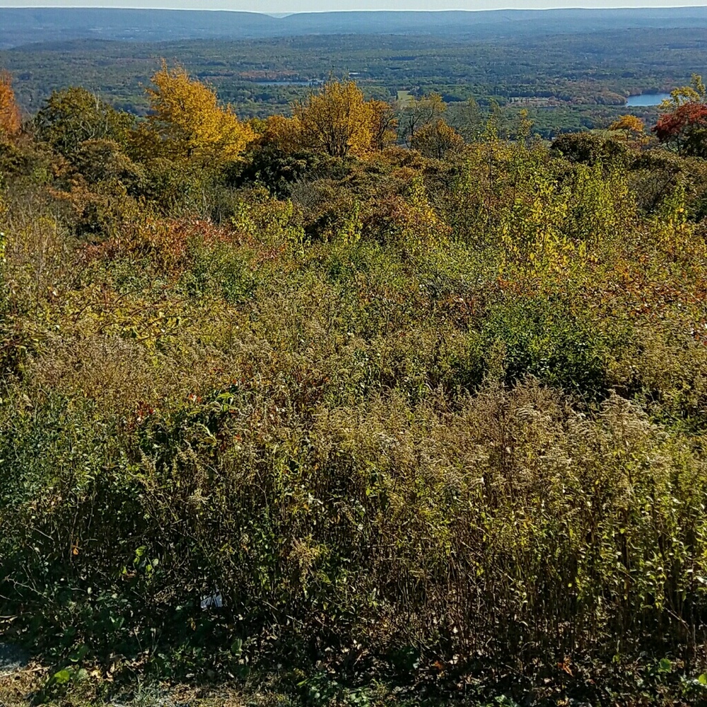 Meet your Posher, Humu