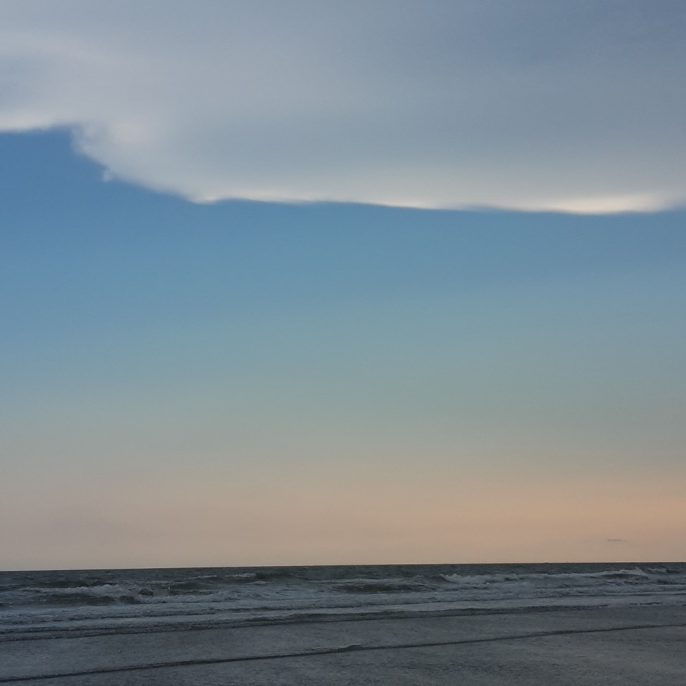 Meet your Posher, Winnie