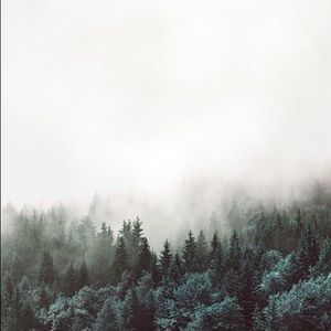 Meet your Posher, Ivanka