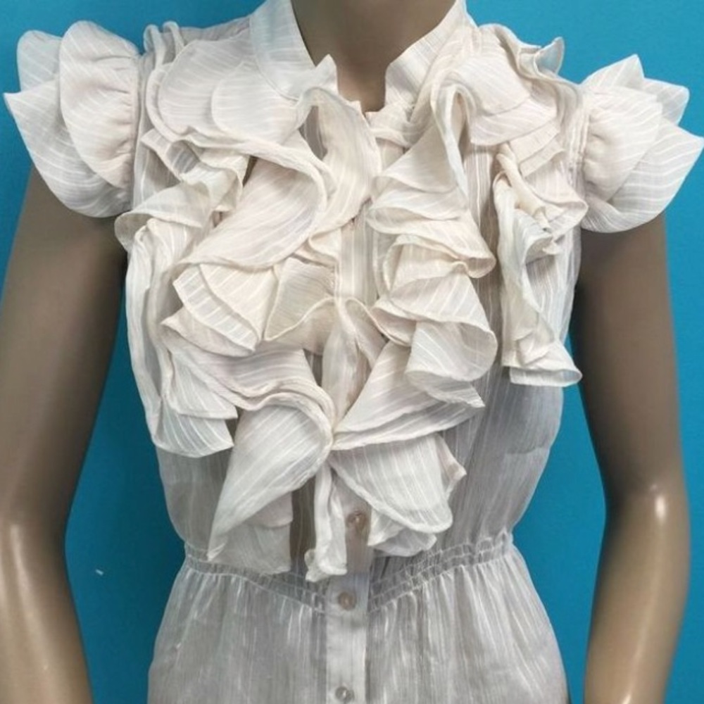 Ruffled Blouse