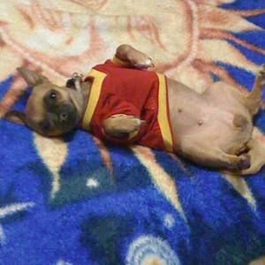 Meet your Posher, Khoa