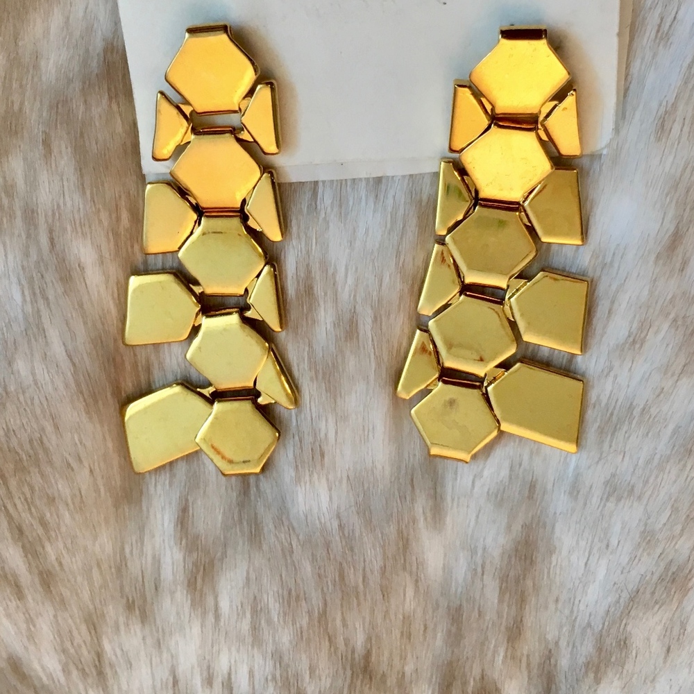 Geometric Shape Earrings
