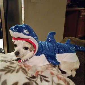 Meet your Posher, Elias