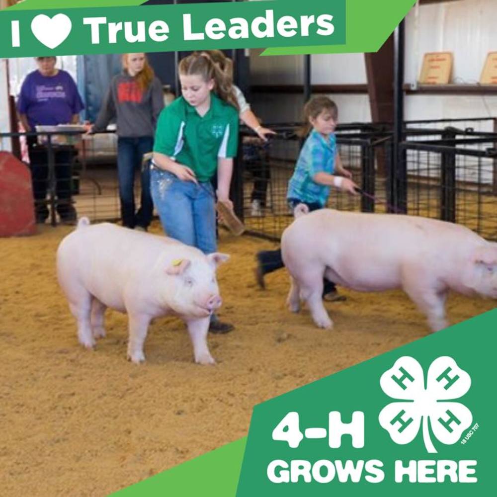 Meet your Posher, Vicki jo