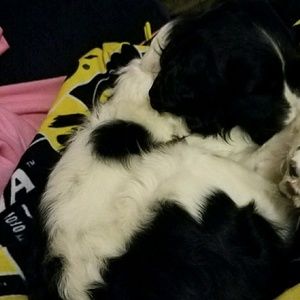 Meet your Posher, Claire