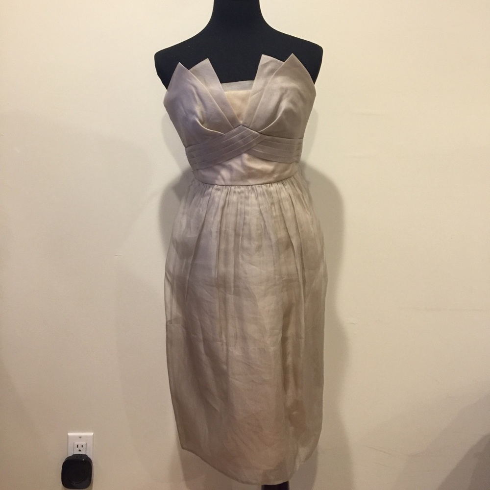 BCBG MaxAzria Runway dress in 💯 silk organza