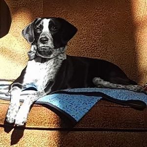 Meet your Posher, Janet