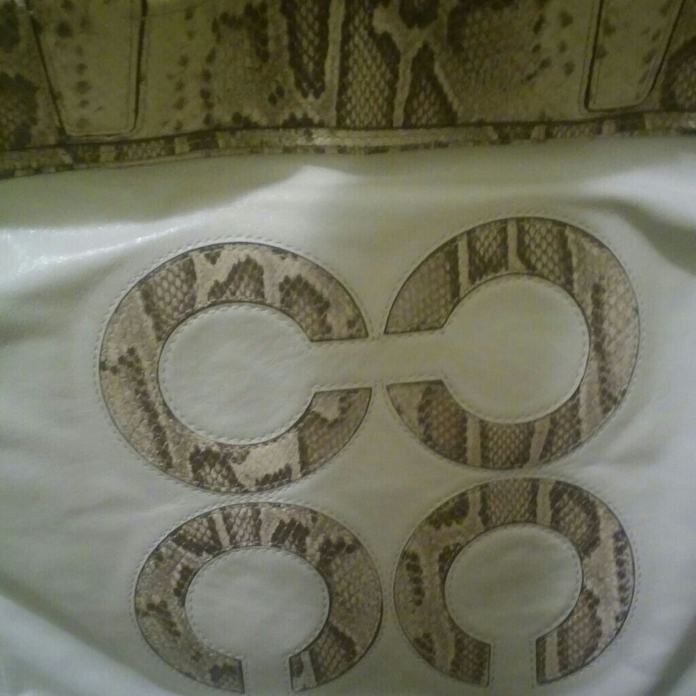 Authentic Coach Audrey w/ python