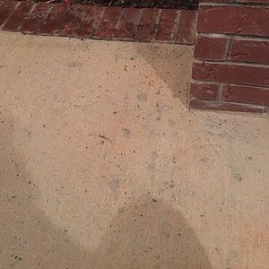 Meet your Posher, Leann