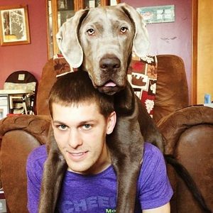 Meet your Posher, Derek