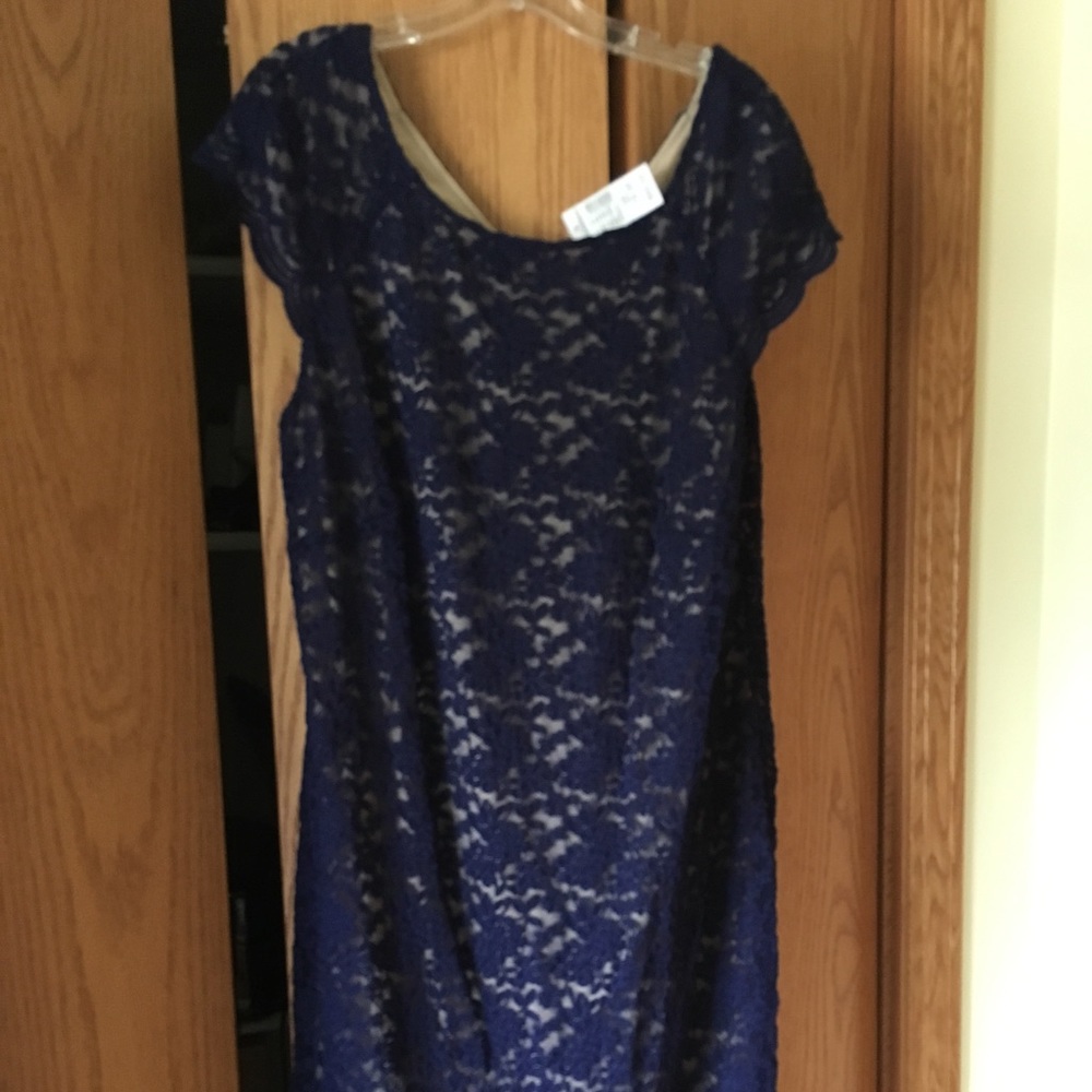 Brand new womens blue and nude lace dress size 18