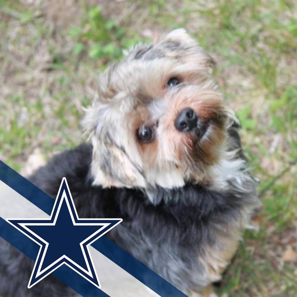 Meet your Posher, Alike