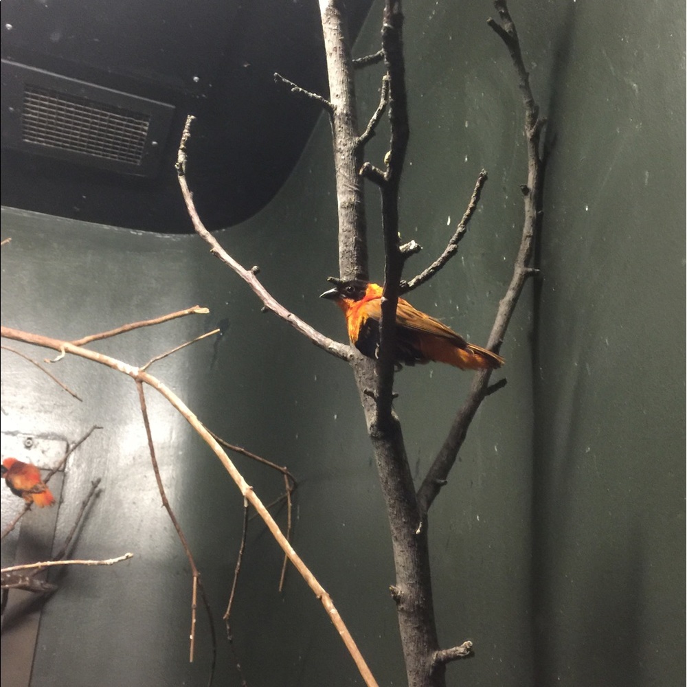 Meet your Posher, Christina