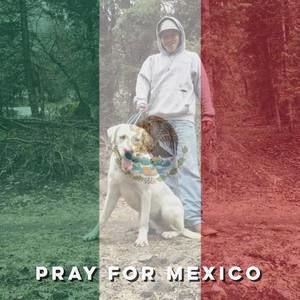 Meet your Posher, Fletcher