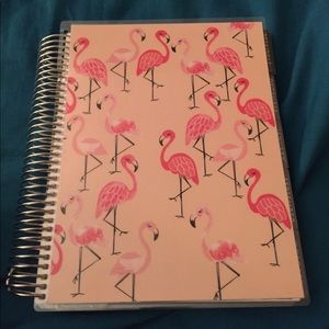Erin Condren Planner (2016-2017)