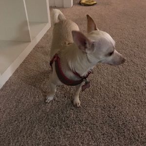 Meet your Posher, Verna