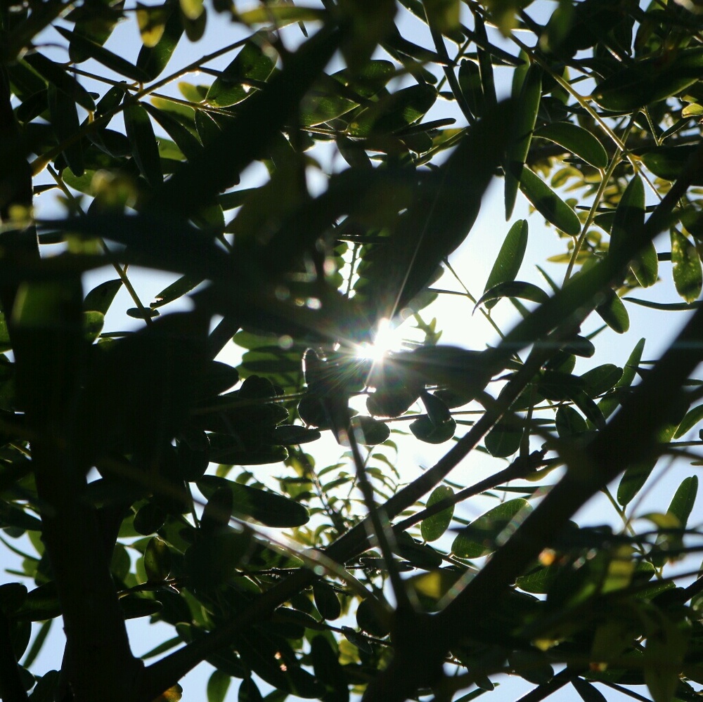 Meet your Posher, Edwin