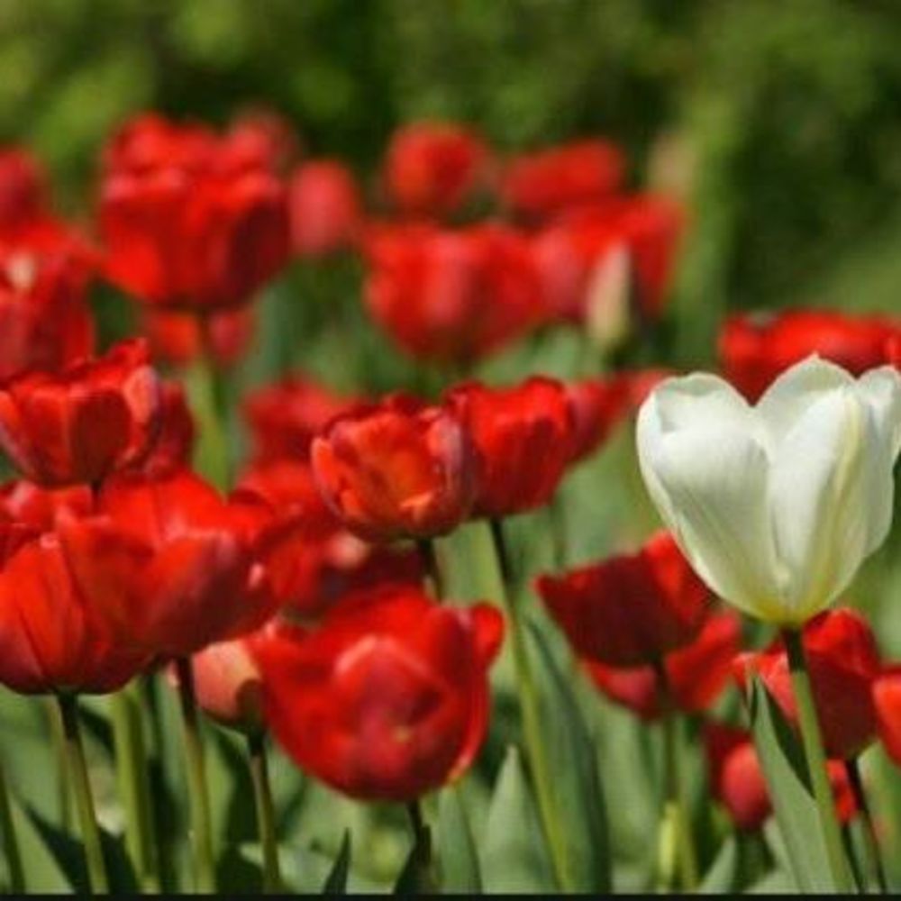 Meet your Posher, Erika