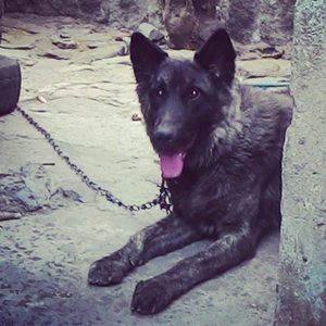 Meet your Posher, Michael