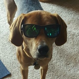 Meet your Posher, Joseph